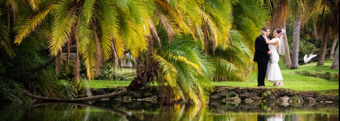 Fairchild Tropical Botanical Garden Main Image